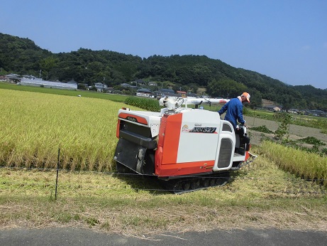 後ろ姿