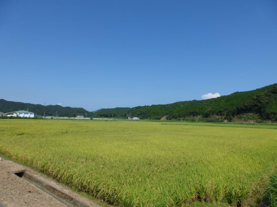 田園風景２