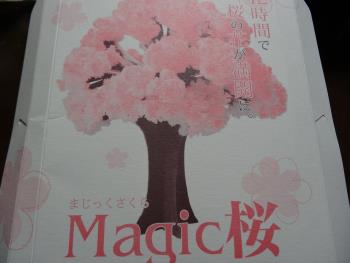 マジック桜