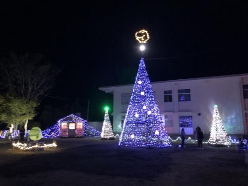 イルミネーション点灯式