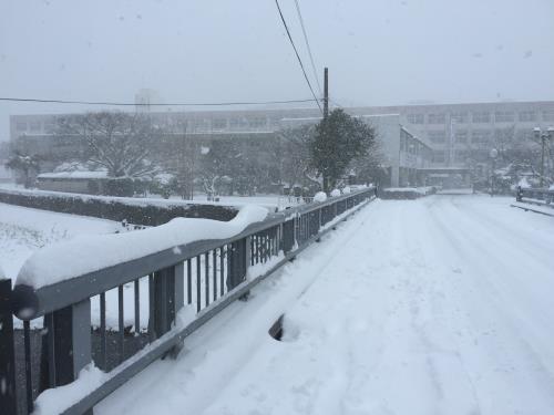 大雪の風景