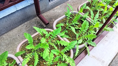 IMG_20251002_112843