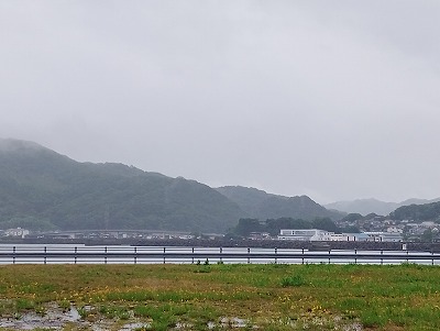 IMG_20250623_102917
