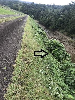 厄介者