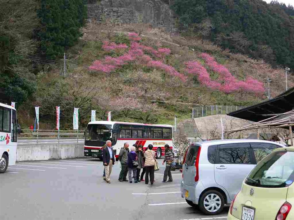 木の花ガルデン