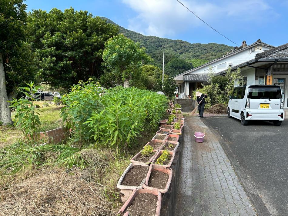 コミセン廻り除草作業