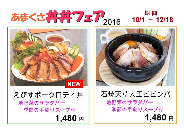 16ヤヒロ丼丼フェアweb