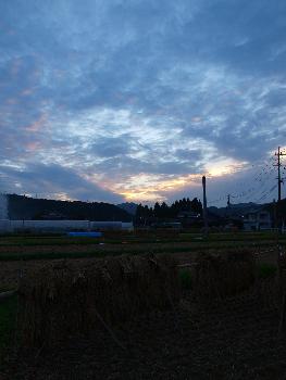 夕暮れと田圃