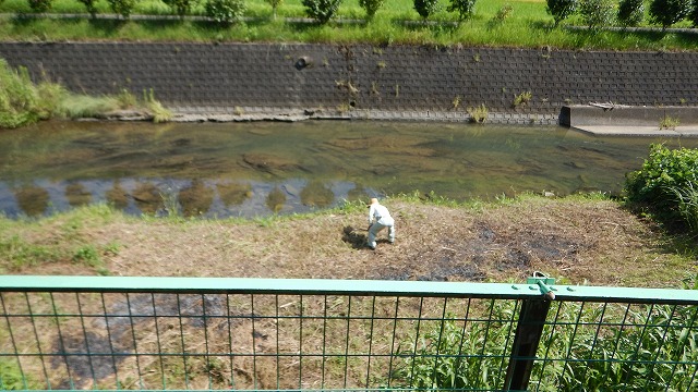 2023寺子屋川遊び準備 (1)