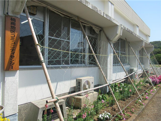 グリーンカーテン1