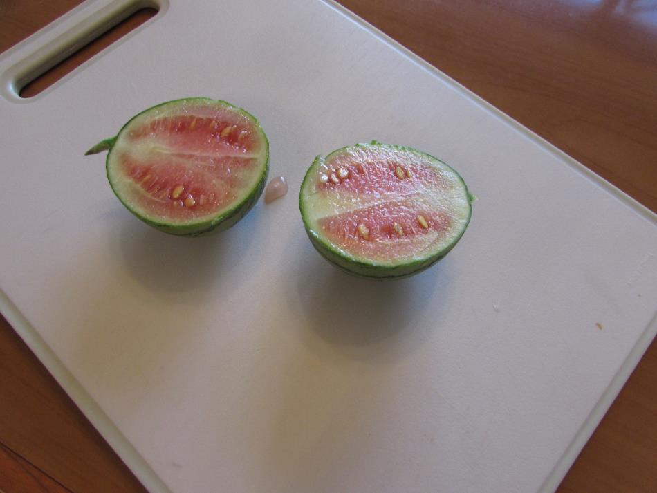 さみしいー。