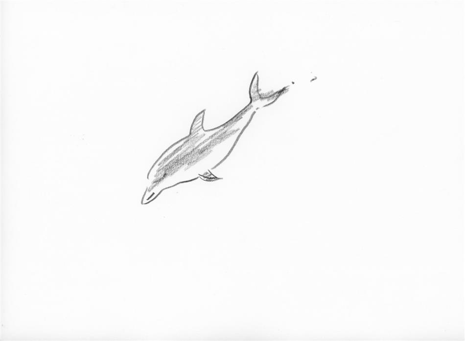 52位⑩　イルカ（１頭）