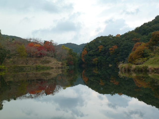 亀川ダム紅葉