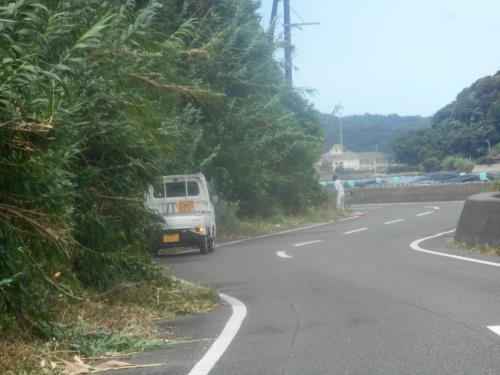 野本さん