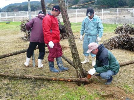 やぐら根本（３点固定）