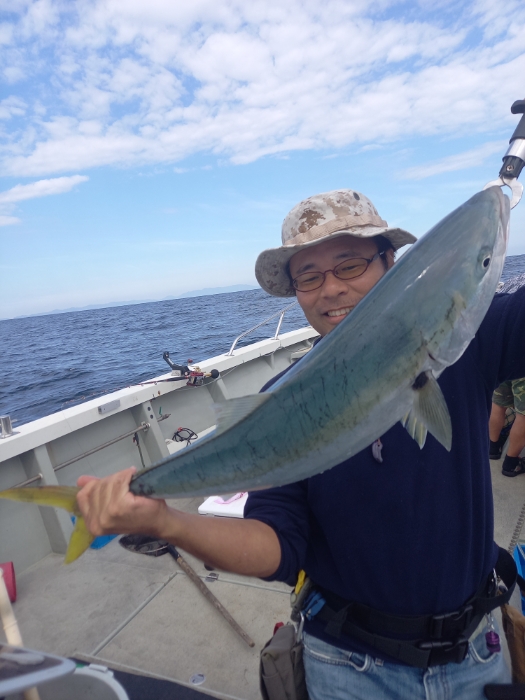 落とし込み釣り