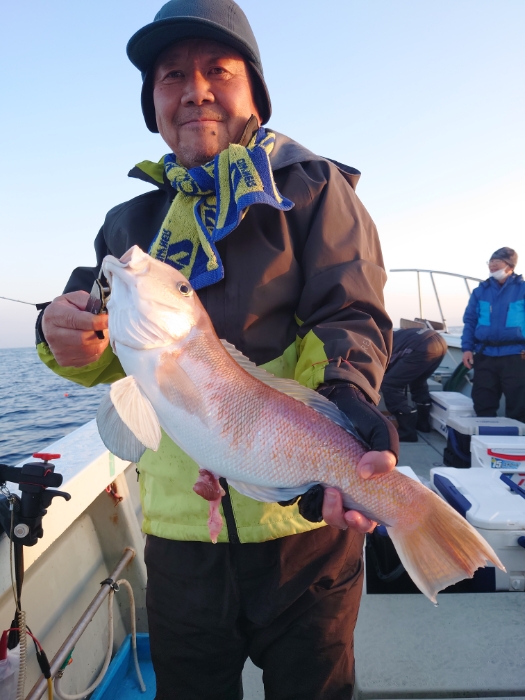 冷凍イワシと切り身釣り