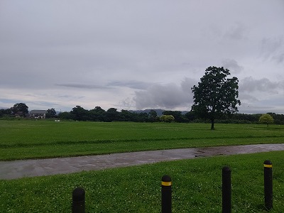 1DSC_1378