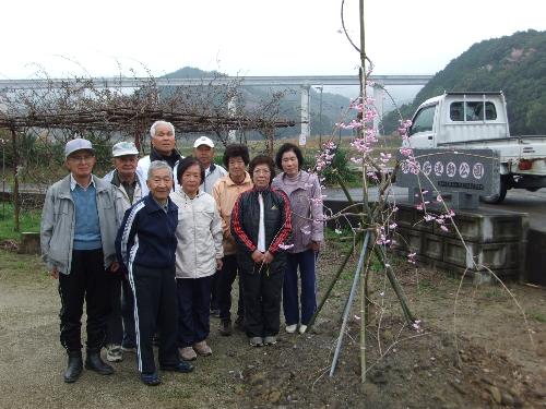 Ｈ２４愛好会桜植樹