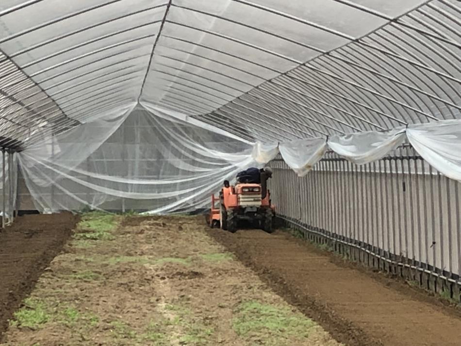 トラクター作業