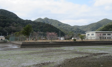 さくら公園