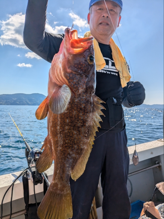 アジの泳がせ釣り