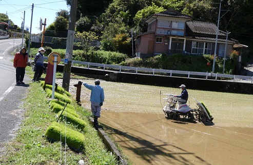 田植