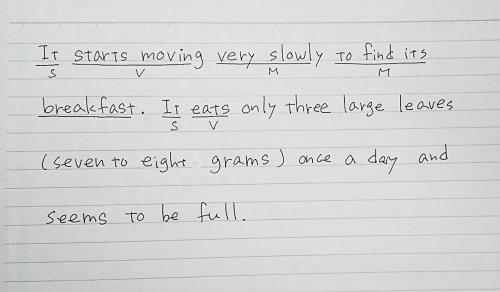 課題の添削指導例 高校生 New 英語家庭教師happy English ハッピーイングリッシュ