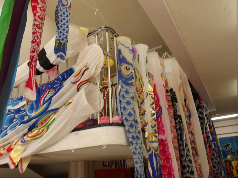 202605五月人形こいのぼり (3)