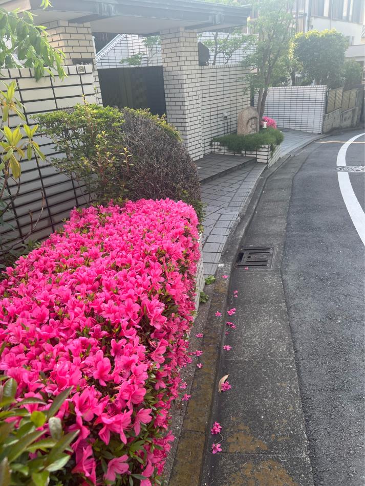 ビックリしました。