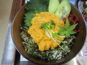 5/5ウニ丼