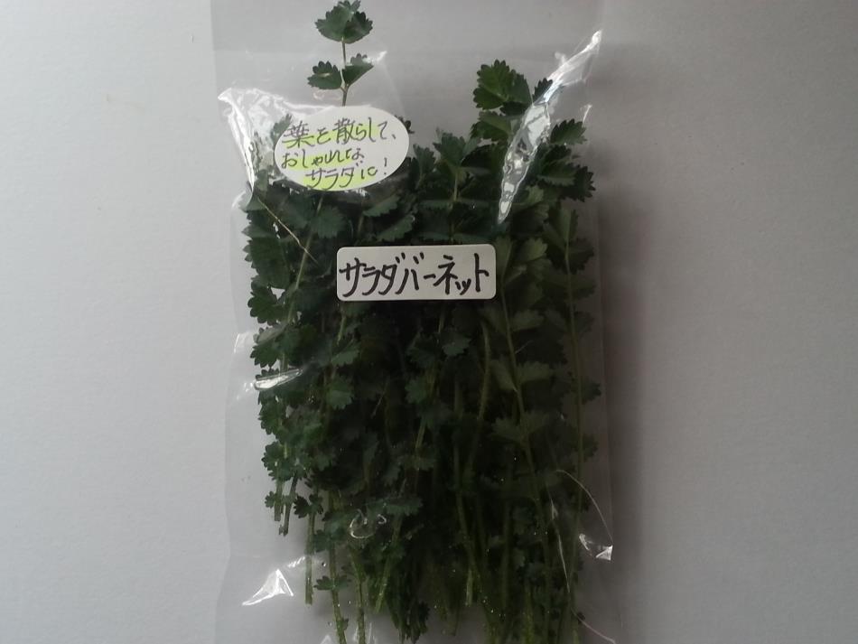 サラダバーネット 商品紹介 レシピ集 Naturalherb 香草園 ナチュラルハーブ香草園