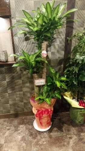 20151001-015728_17.jpg