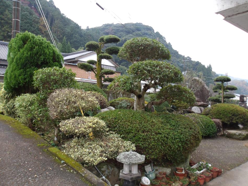 20251130庭木剪定作業後 (27)