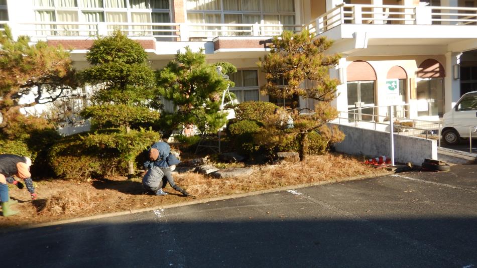 20251130庭木剪定作業中 (5)