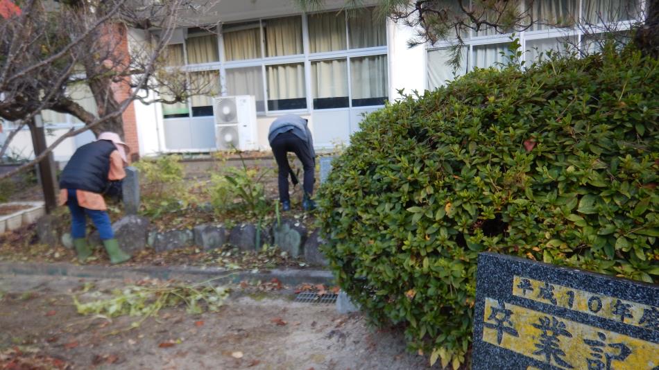 20251130庭木剪定作業中 (1)