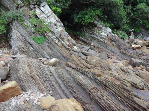 砥石層の潮汐堆積物