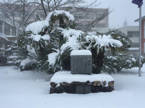 大雪の風景２