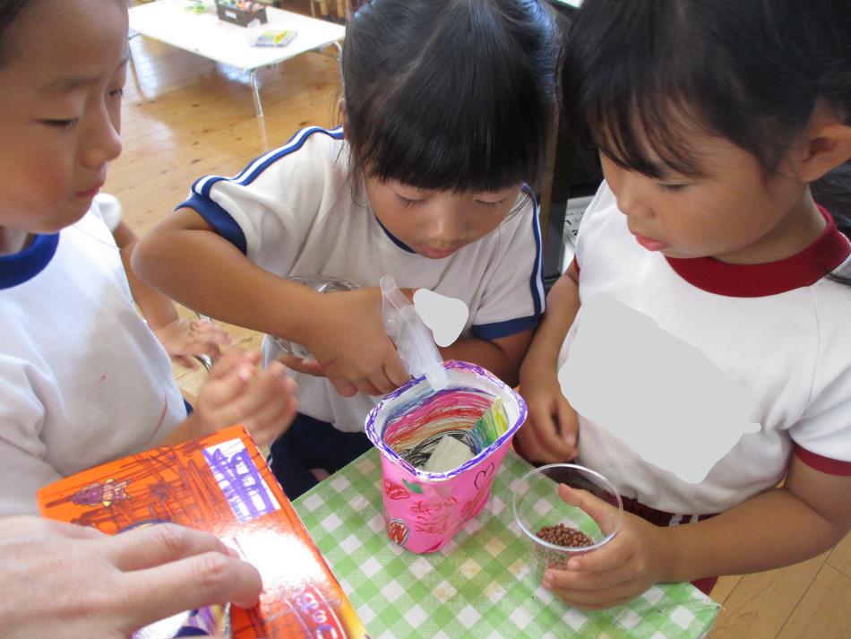 かいわれ大根を栽培中（R7すみれ１０月）