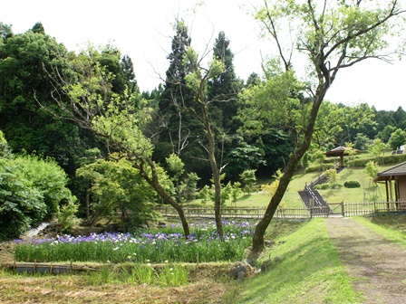 DSC02730