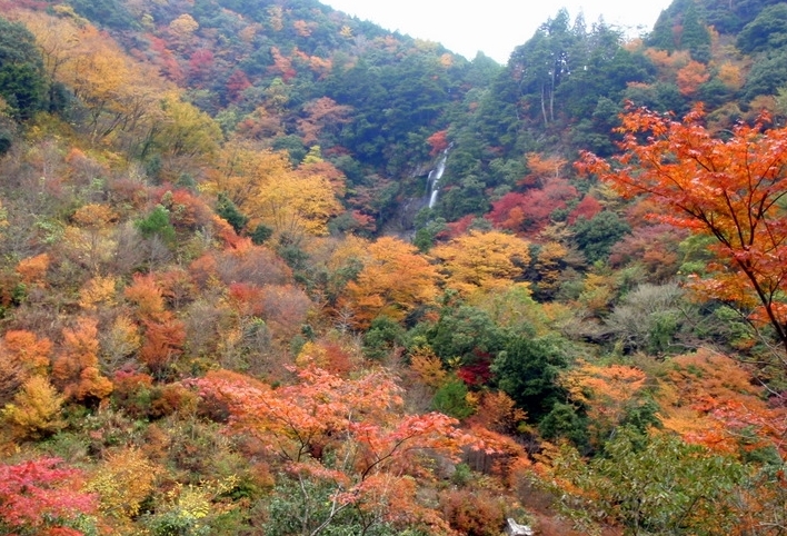 せんだん轟の滝