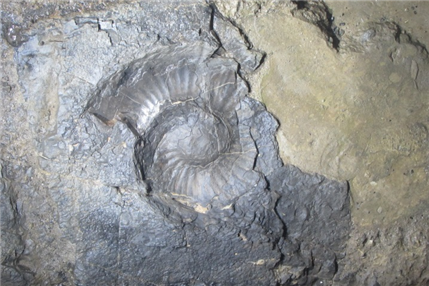 牧島（R3）2