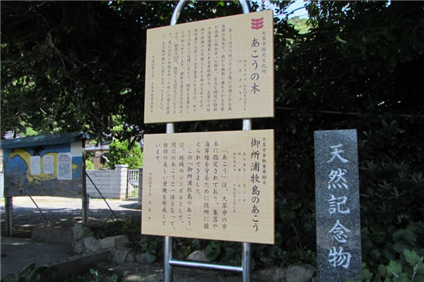 牧島２