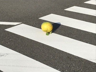 どういうこと？