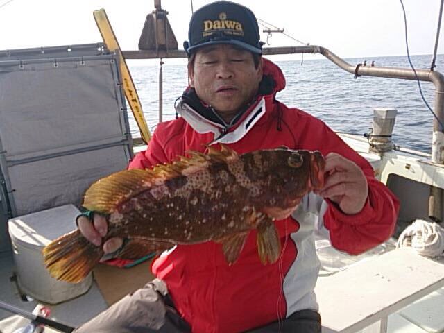 アジの泳がせ