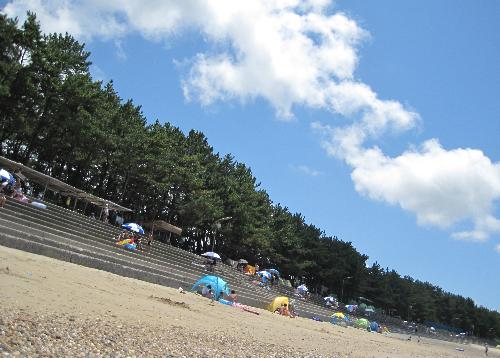 白鶴浜８月１３日（快晴０３）