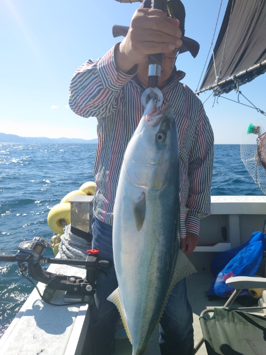 落とし込み釣り