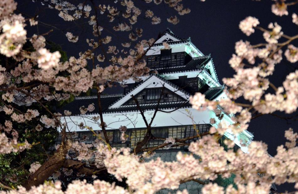 満開の熊本城