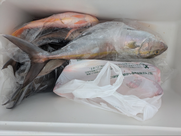 オキアミ五目、ジギングアジ曽根便