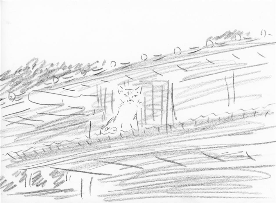 38位⑧　屋根の上に猫（１匹）
